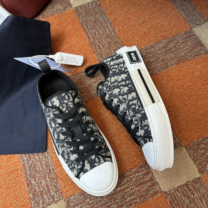 D10r b23 low top canvas oblique black d05